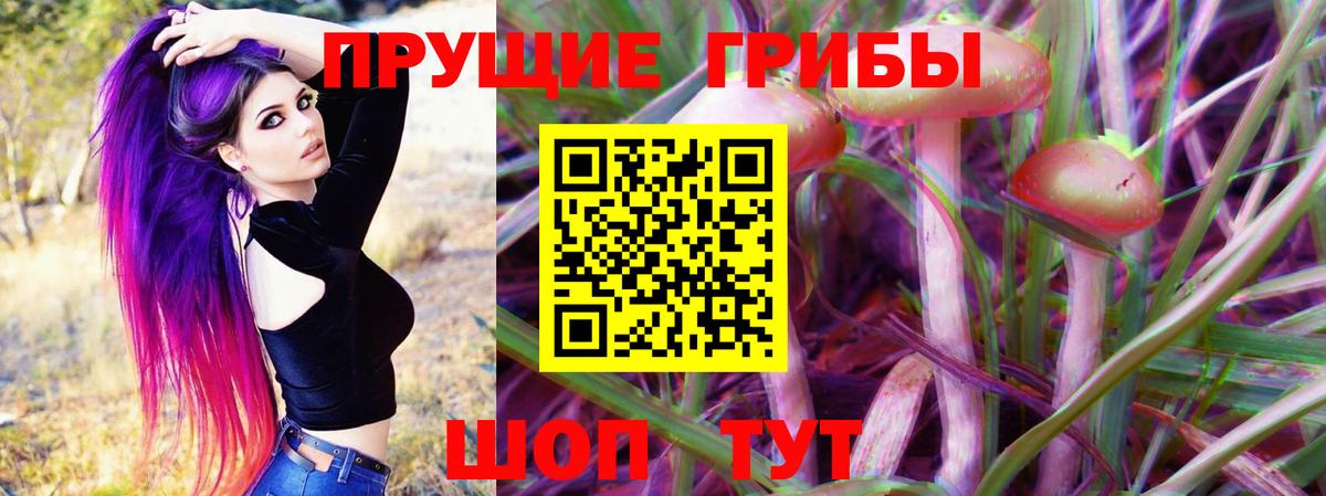 магазин продажи наркотиков  Псилоцибиновые грибы GOLDEN TEACHER  Вход с VPN  Курчатов 